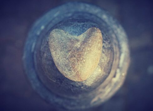 kranich17-heart-5236233